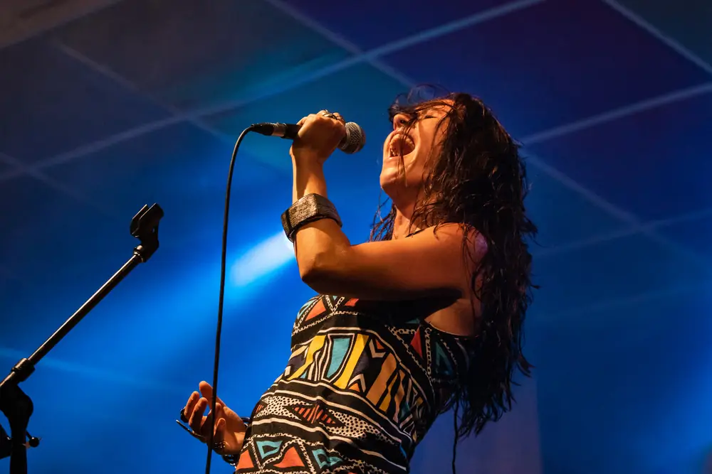 Singer performing on stage at the festival